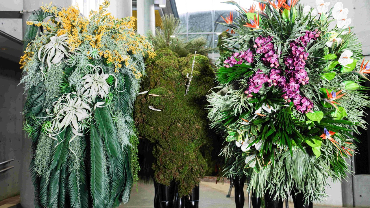 BOTANICA MUSEUMの事業内容の写真1枚目