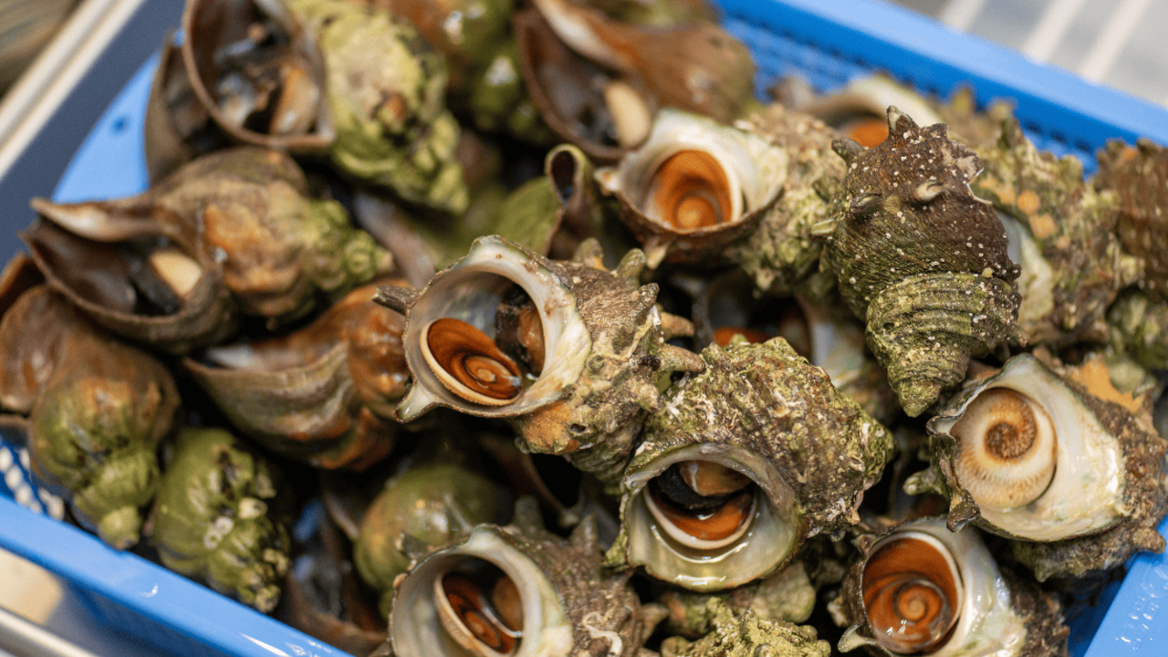 あみ浜食堂のこだわりポイントの写真2枚目