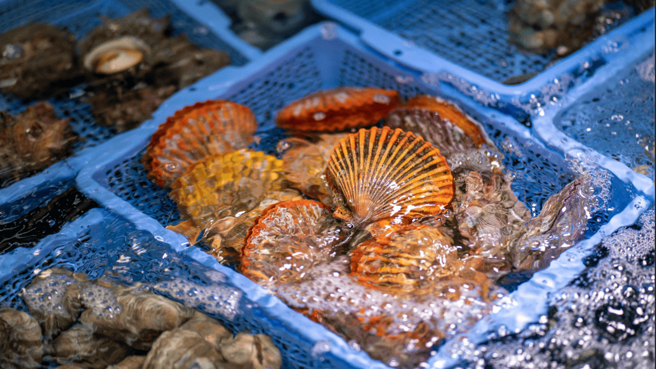あみ浜食堂のこだわりポイントの写真3枚目