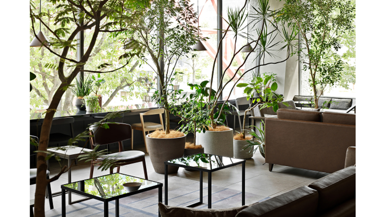 HOKKAIDO CUISINE KAMUYで働く人の写真1枚目