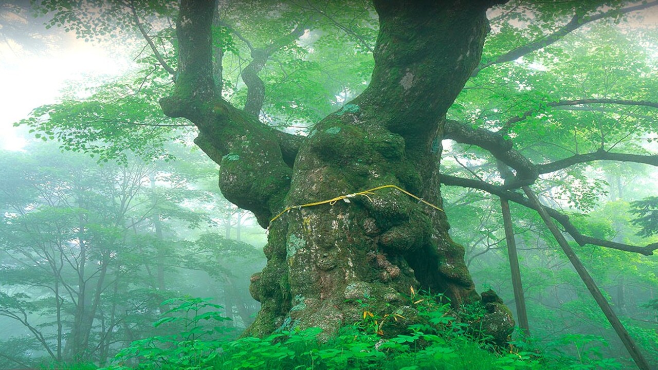 長野リンデンプラザホテルのこだわりポイントの写真1枚目