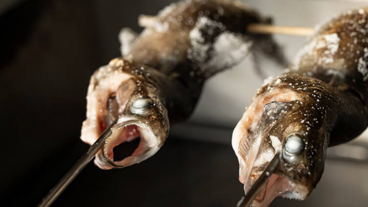 静楓亭の事業内容の写真3枚目