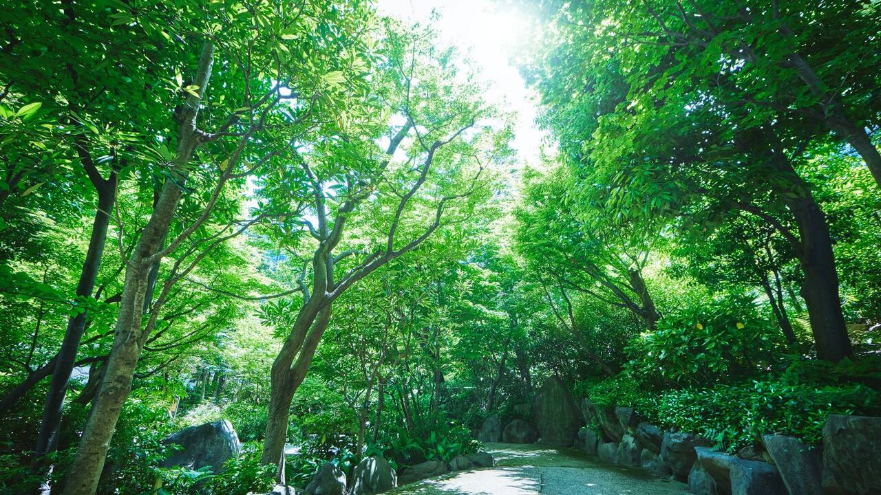 ウェスティンホテル大阪のこだわりポイントの写真1枚目