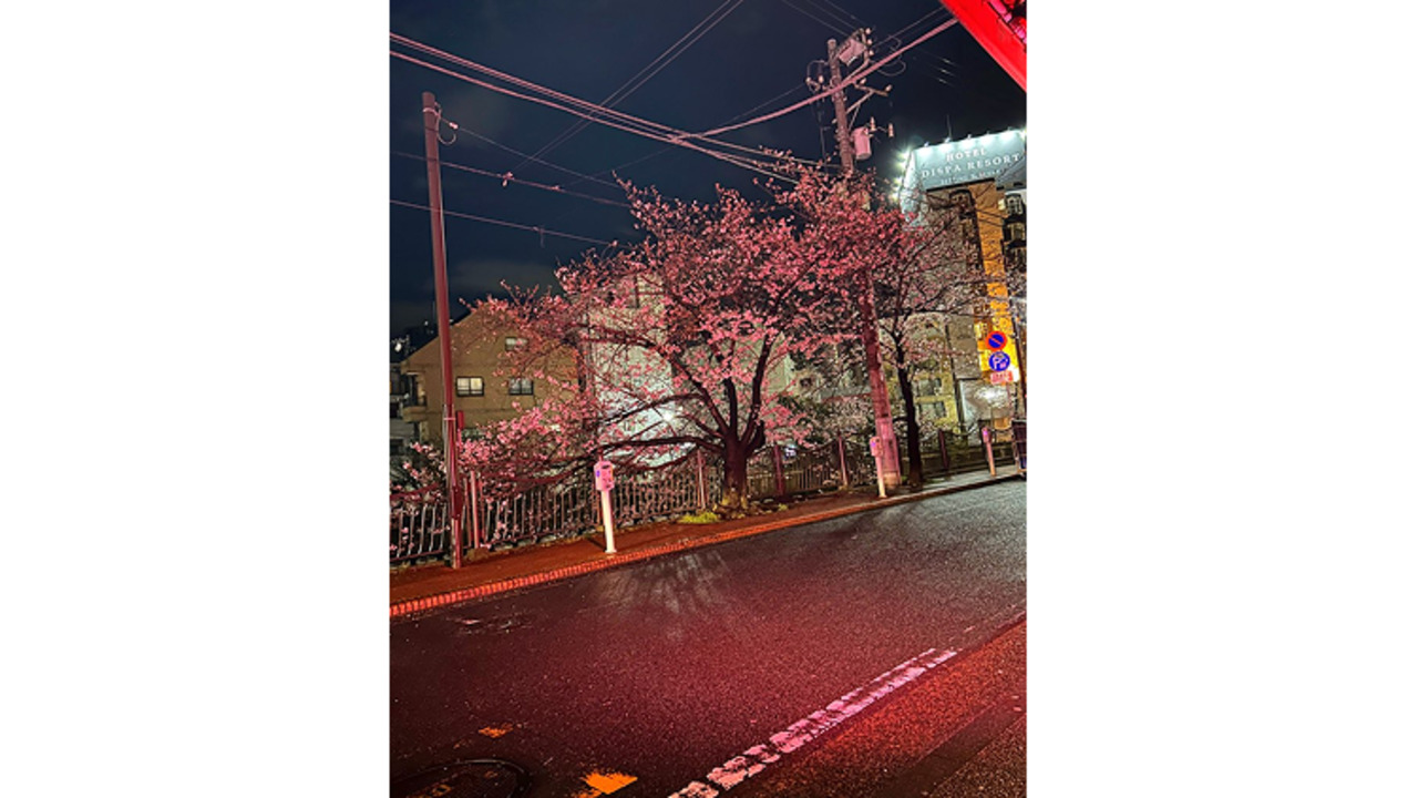 ristrante Cocochiで働く人の写真1枚目