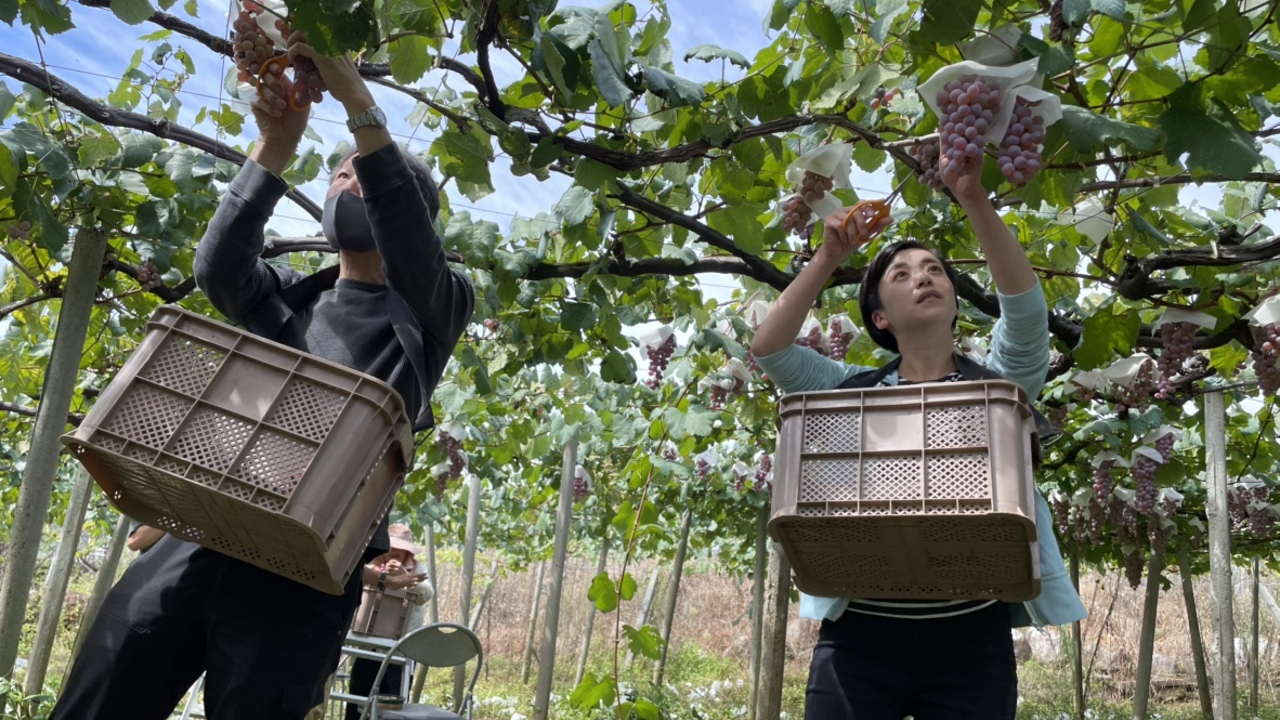 チョイット・コンセプトの事業内容の写真2枚目