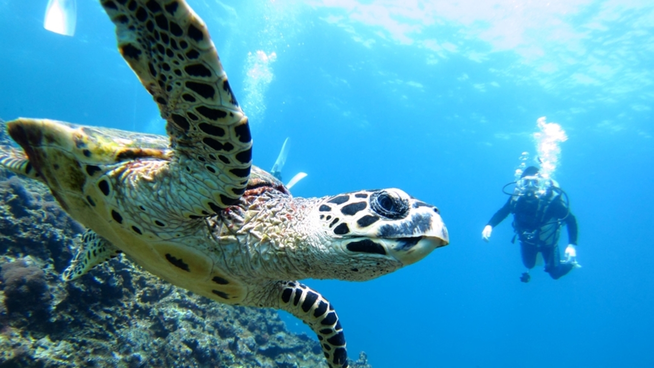 新規開業の事業内容の写真1枚目