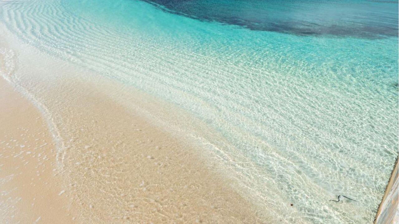 新規開業の事業内容の写真4枚目