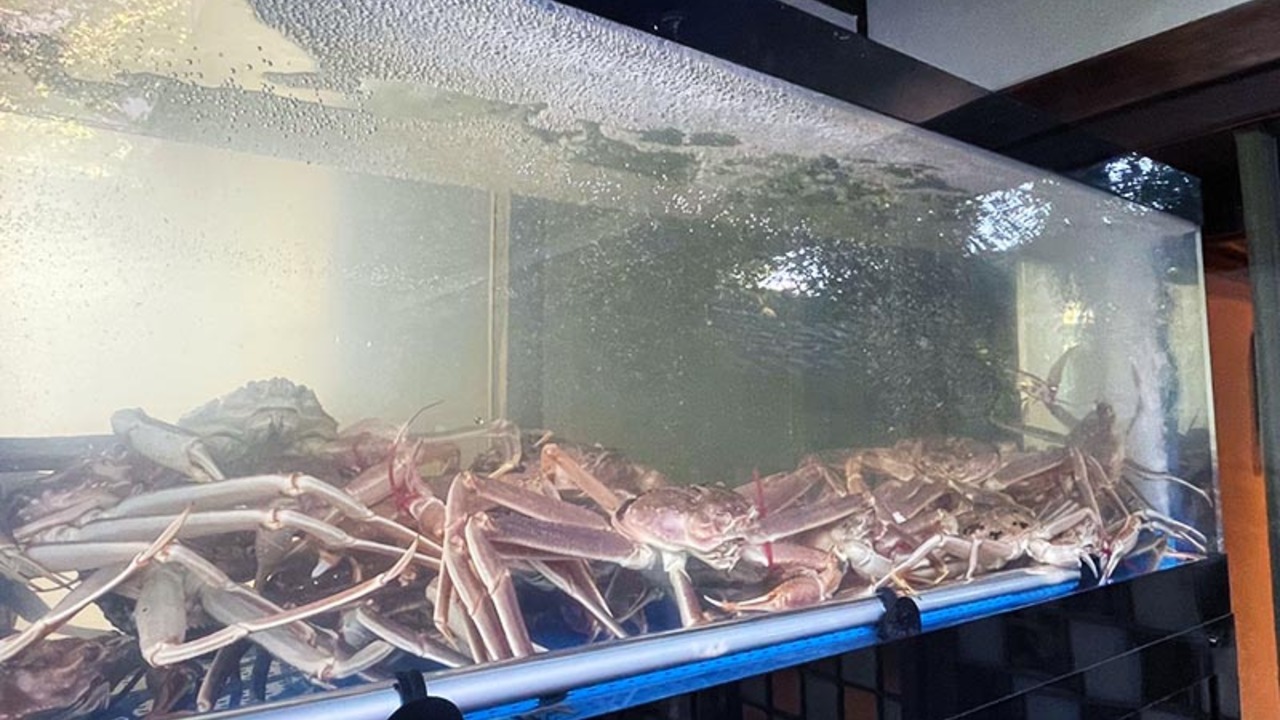 酒処　稲田屋のこだわりポイントの写真2枚目