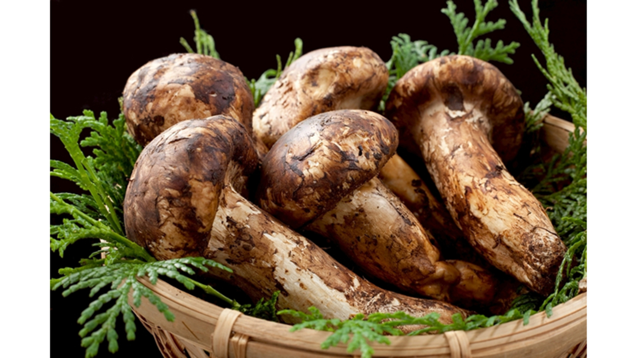 和食佐ノのこだわりポイントの写真1枚目