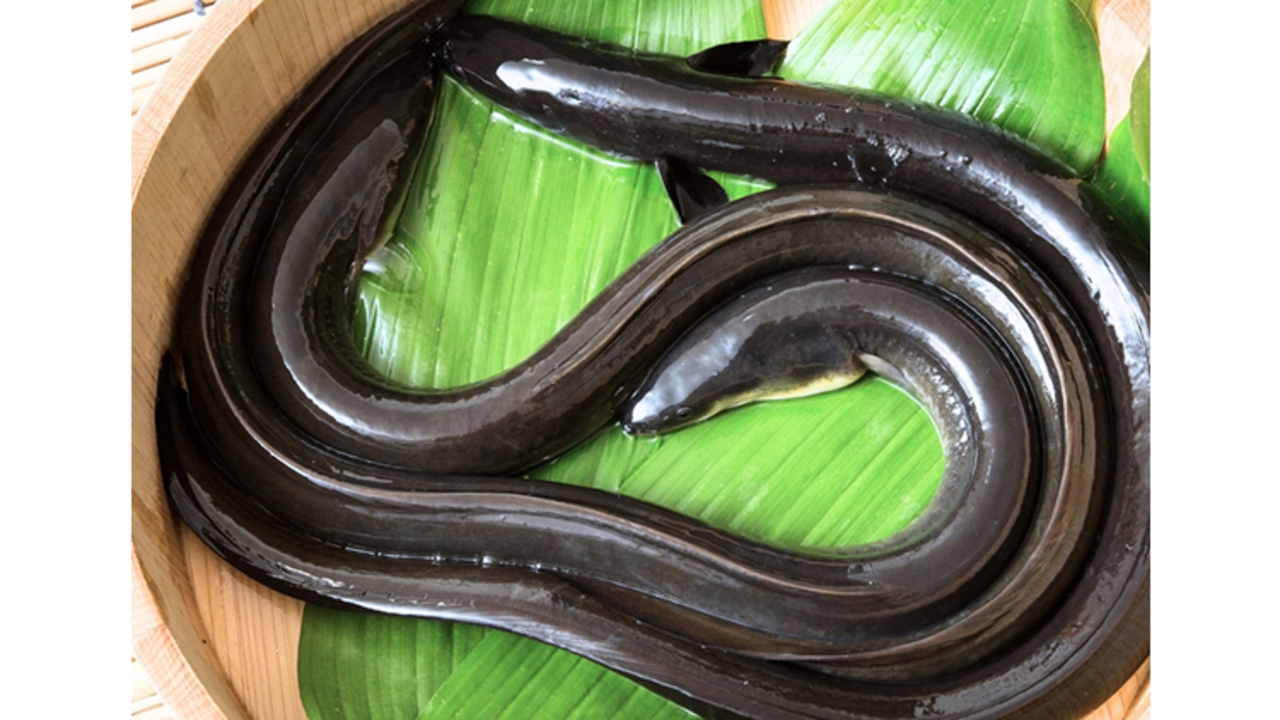 和食佐ノのこだわりポイントの写真3枚目