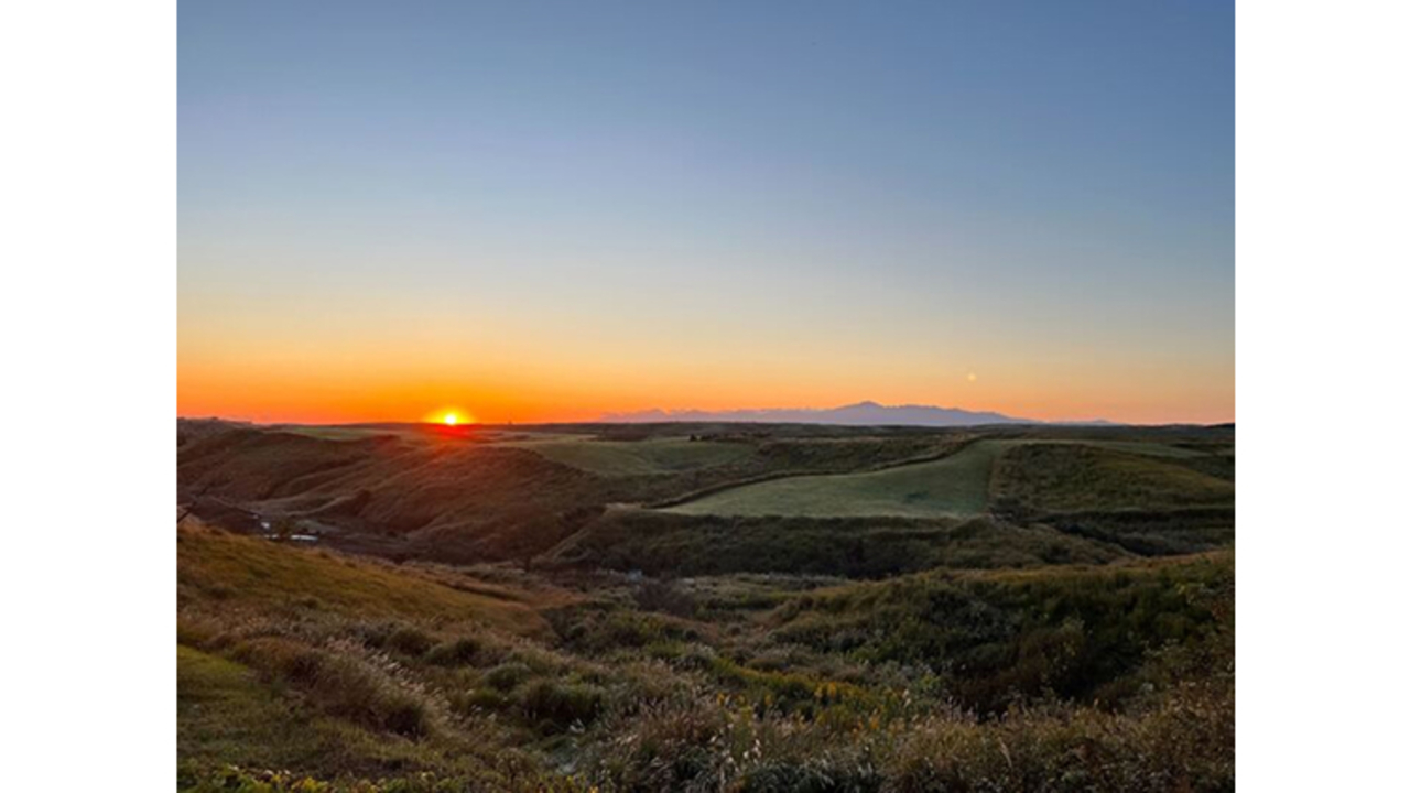 フロンティアホースグループの事業内容の写真3枚目