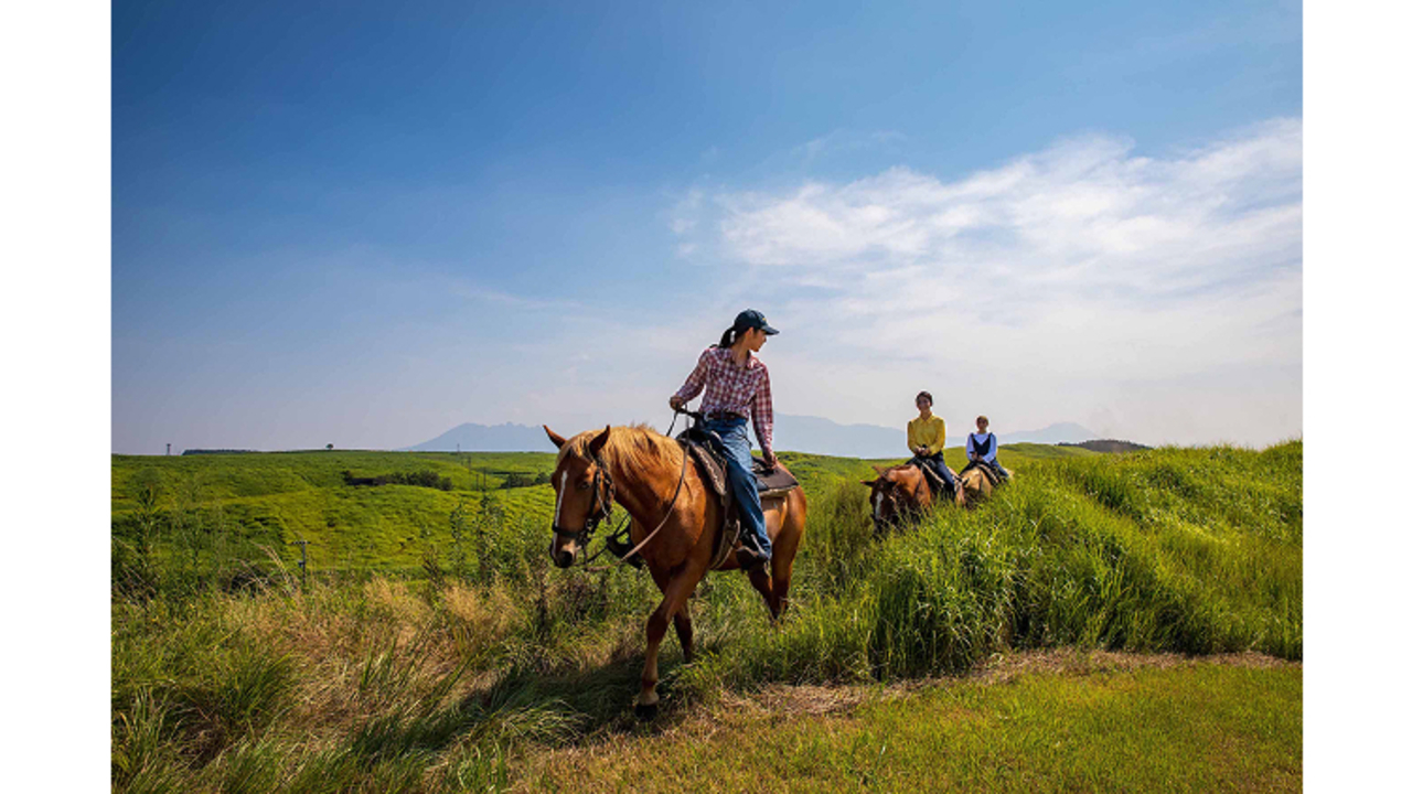 フロンティアホースグループの事業内容の写真4枚目