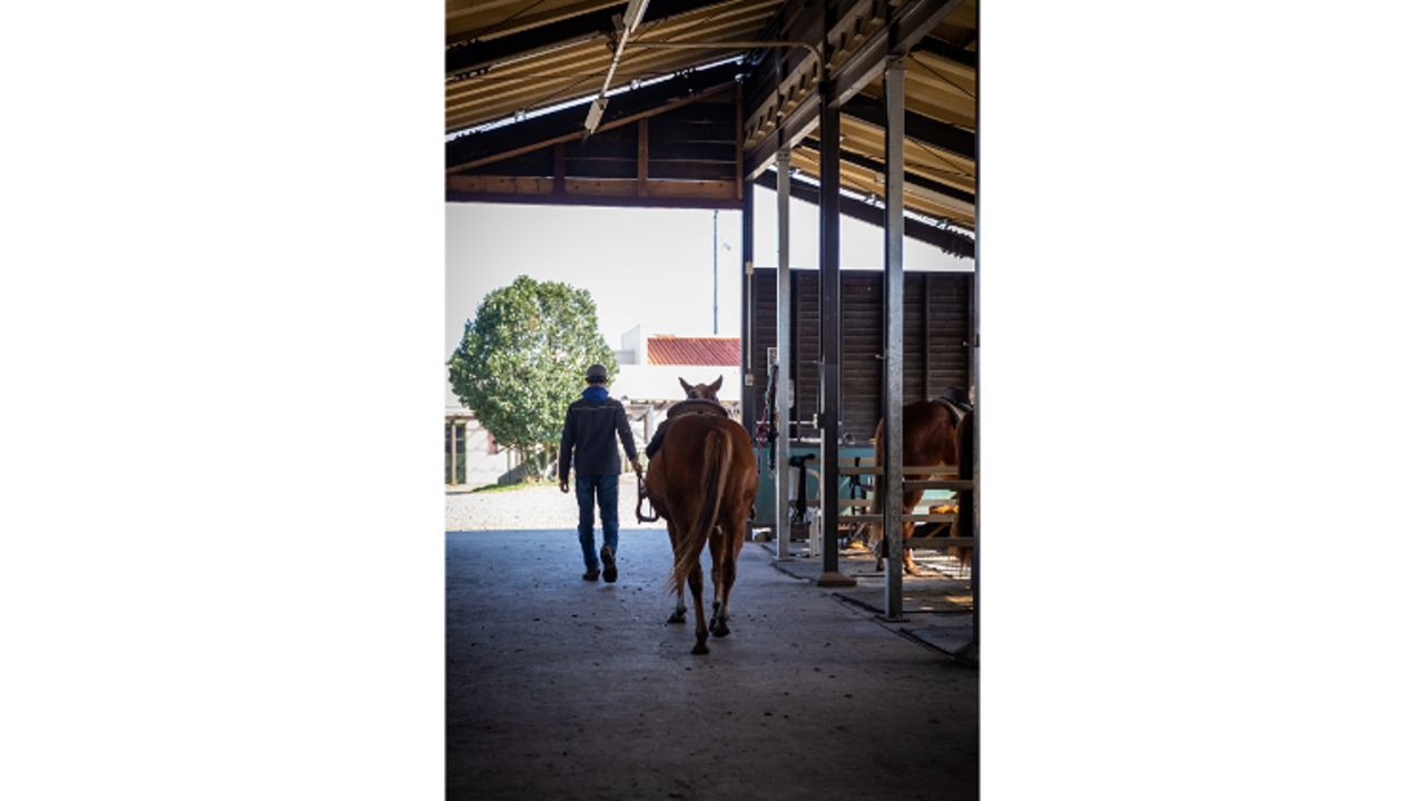 フロンティアホースグループで働く人の写真4枚目