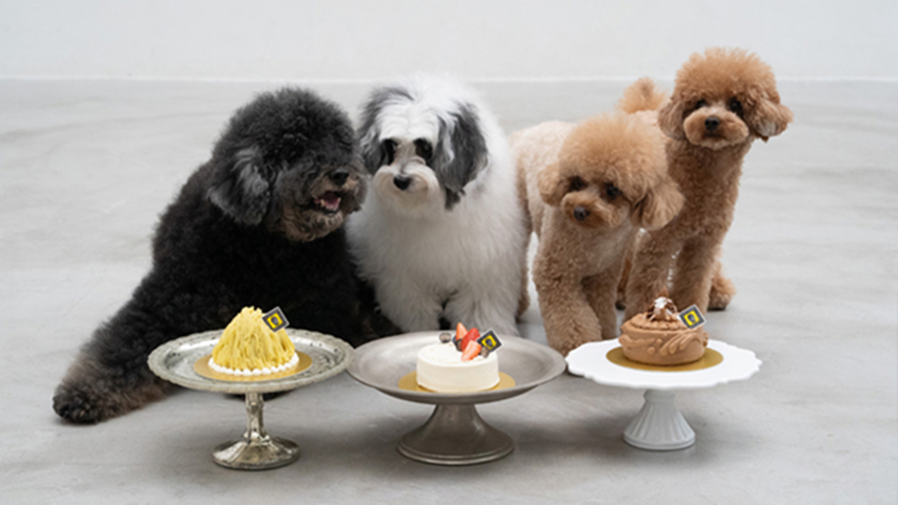 ル パティシエ タカギのこだわりポイントの写真4枚目