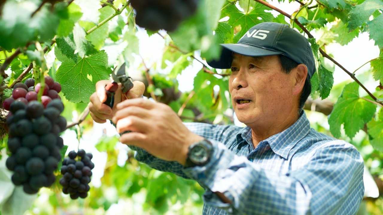 株式会社MSERRNTの事業内容の写真2枚目