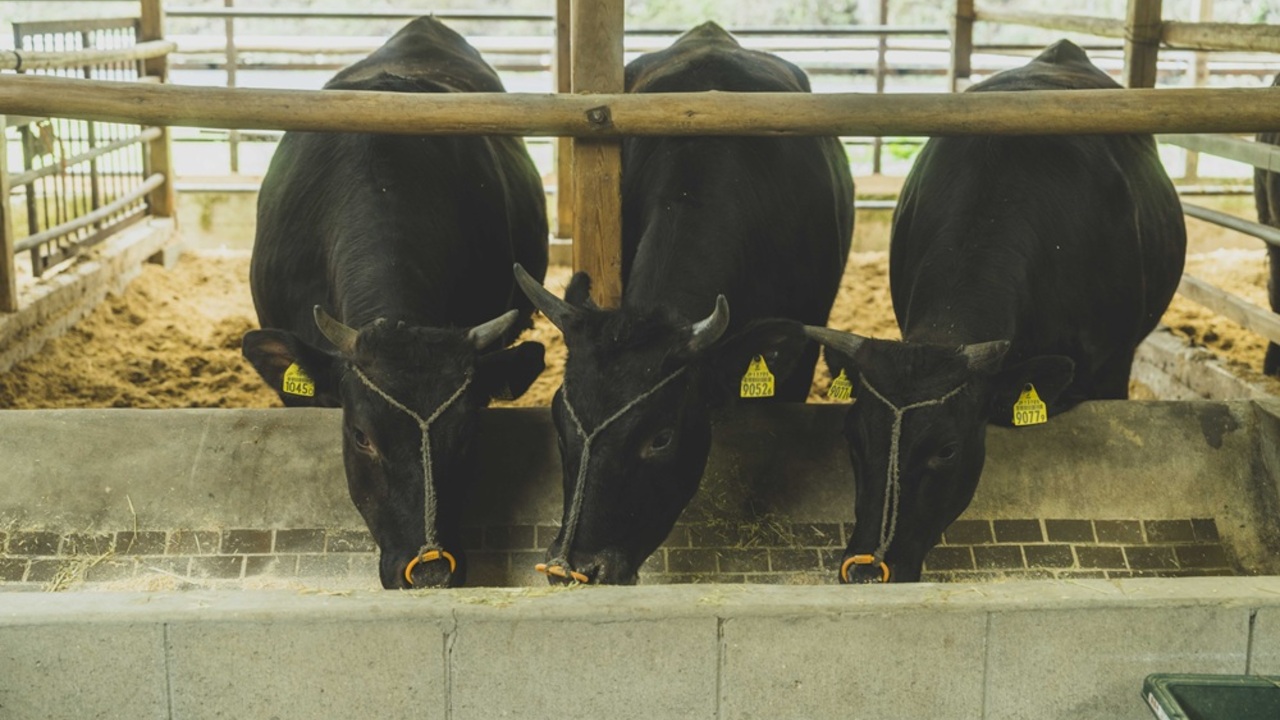 株式会社MSERRNTの事業内容の写真2枚目