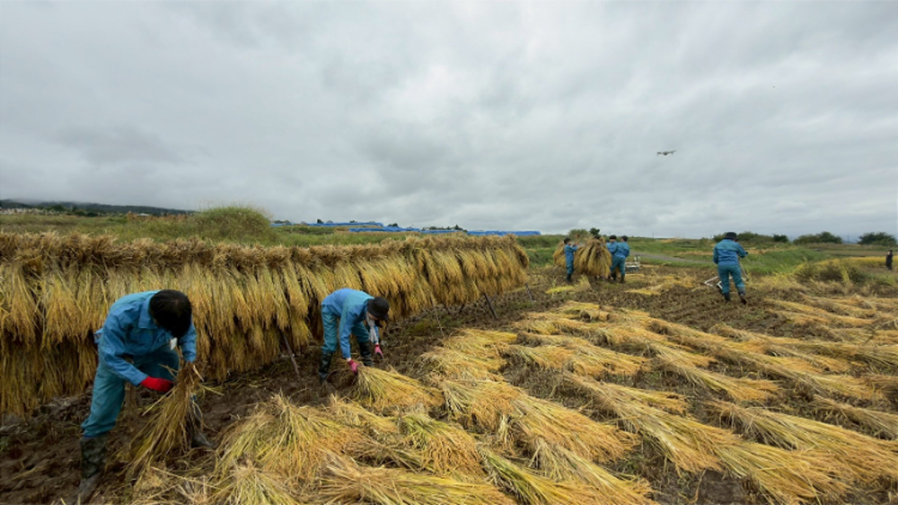 STARRACE KOMOROのこだわりポイントの写真1枚目