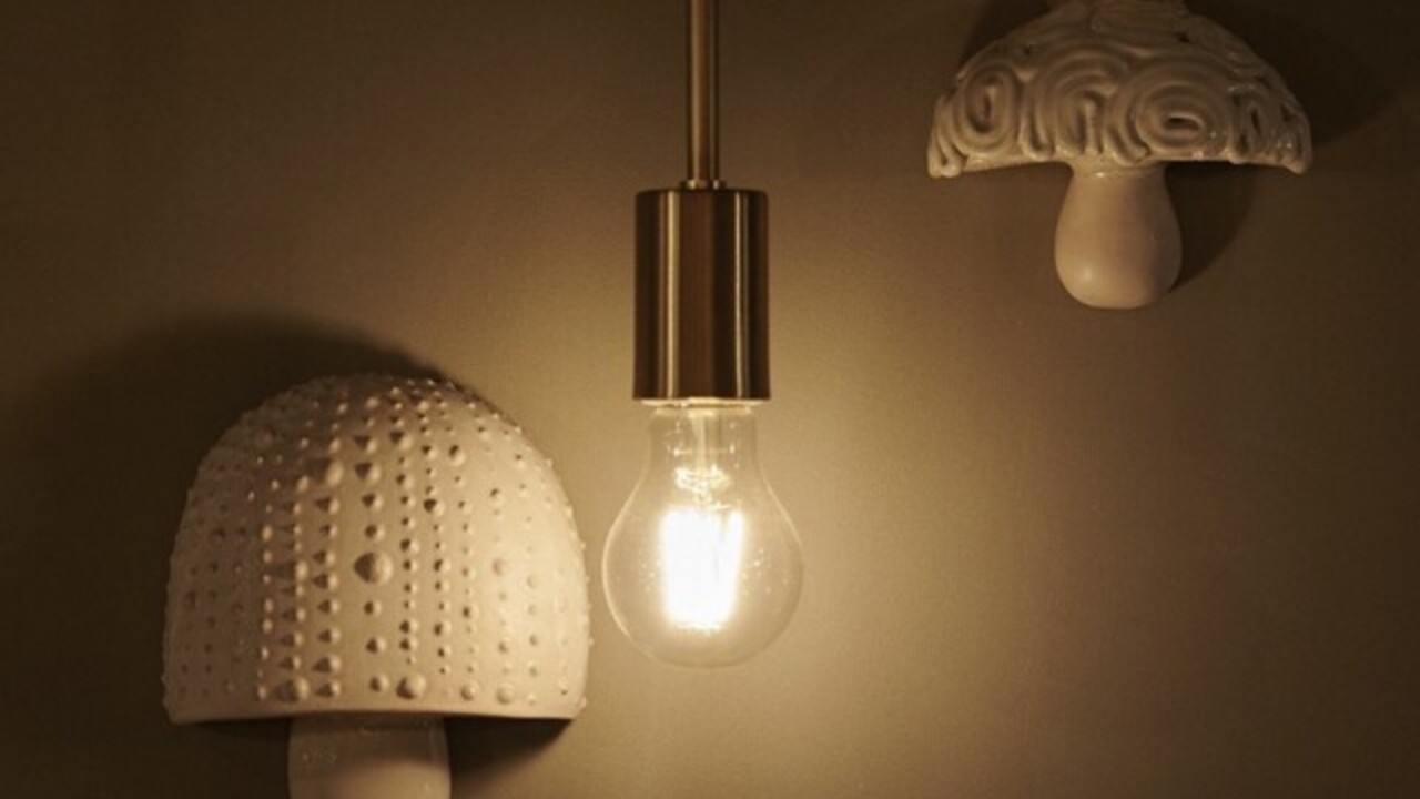 裏の山の木の子のこだわりポイントの写真2枚目