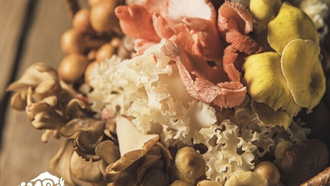 裏の山の木の子の事業内容の写真2枚目