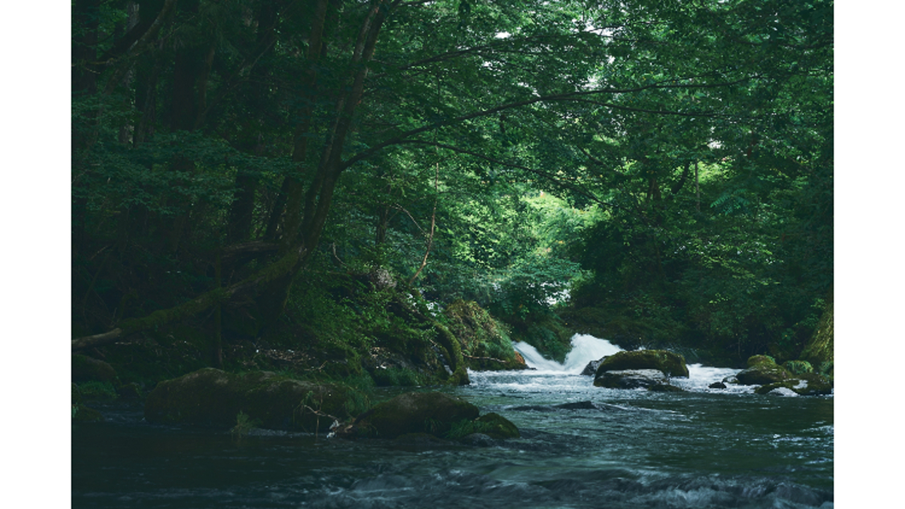BLANCの事業内容の写真4枚目