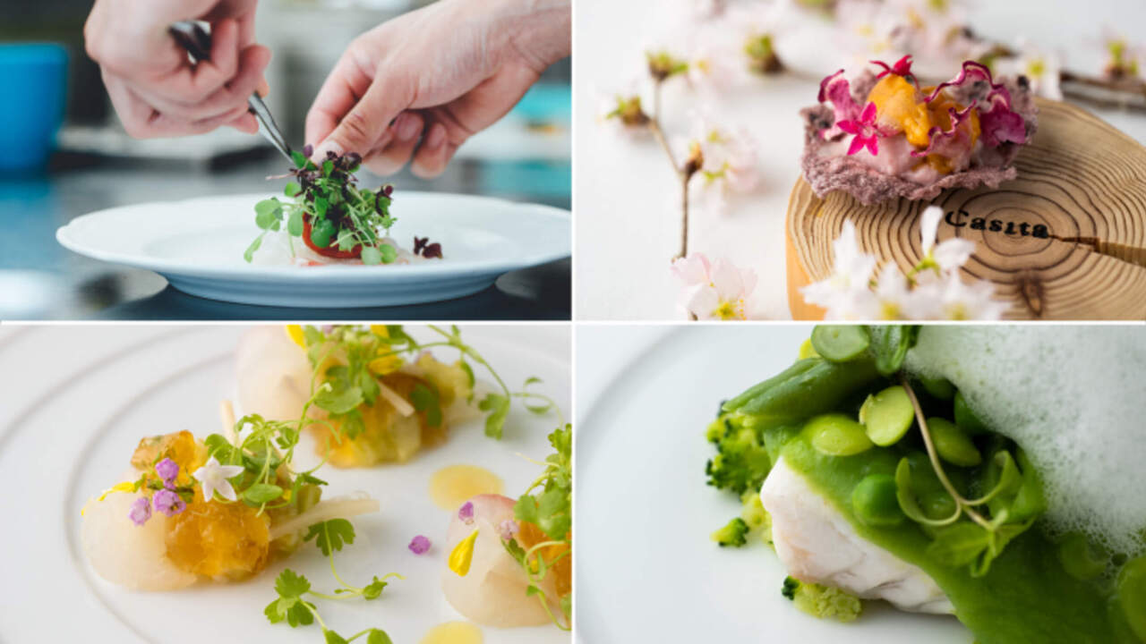 Casita ブライダル オフィスの事業内容の写真2枚目