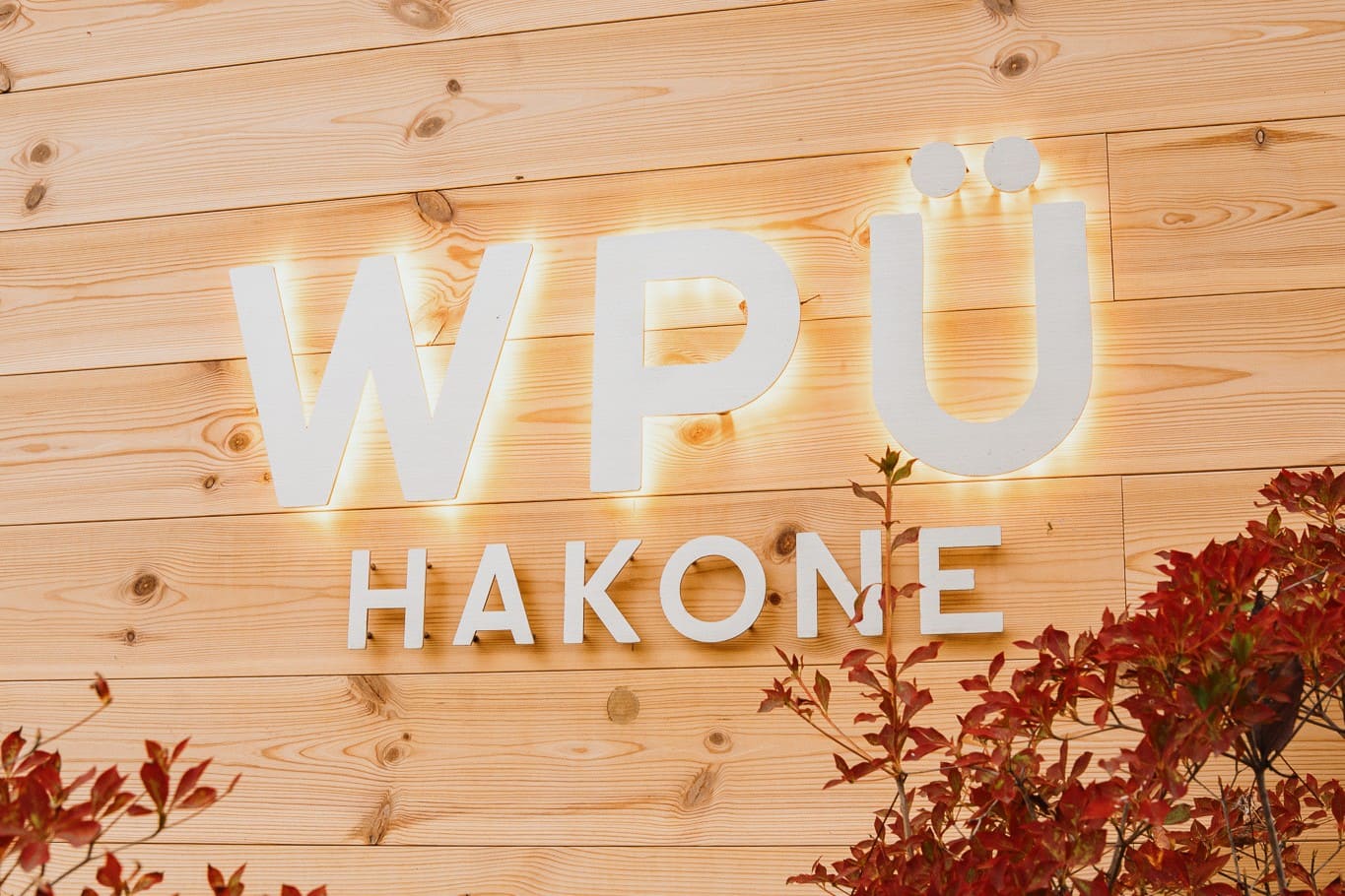株式会社ワンダーパワードユー-WPÜ HAKONE 2枚目