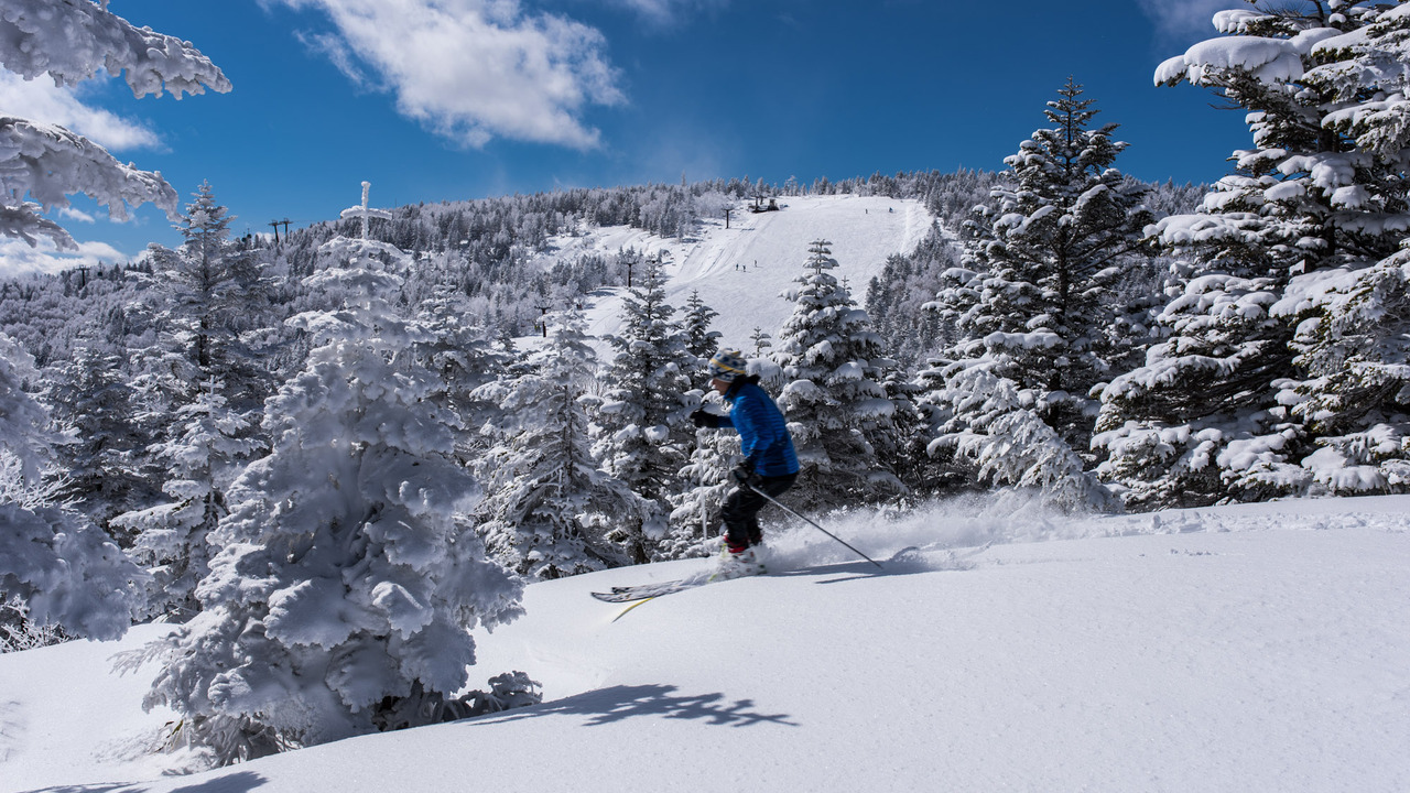 奥志賀高原リゾートの事業内容の写真1枚目