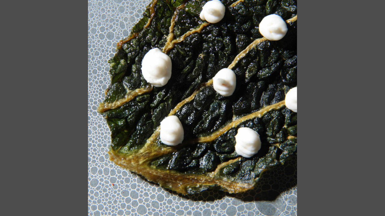 ENOWA YUFUINのこだわりポイントの写真4枚目