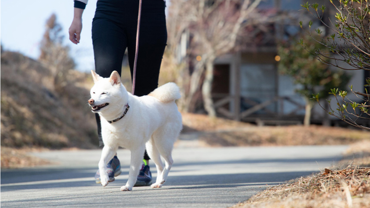 小田温泉 花心の事業内容の写真2枚目
