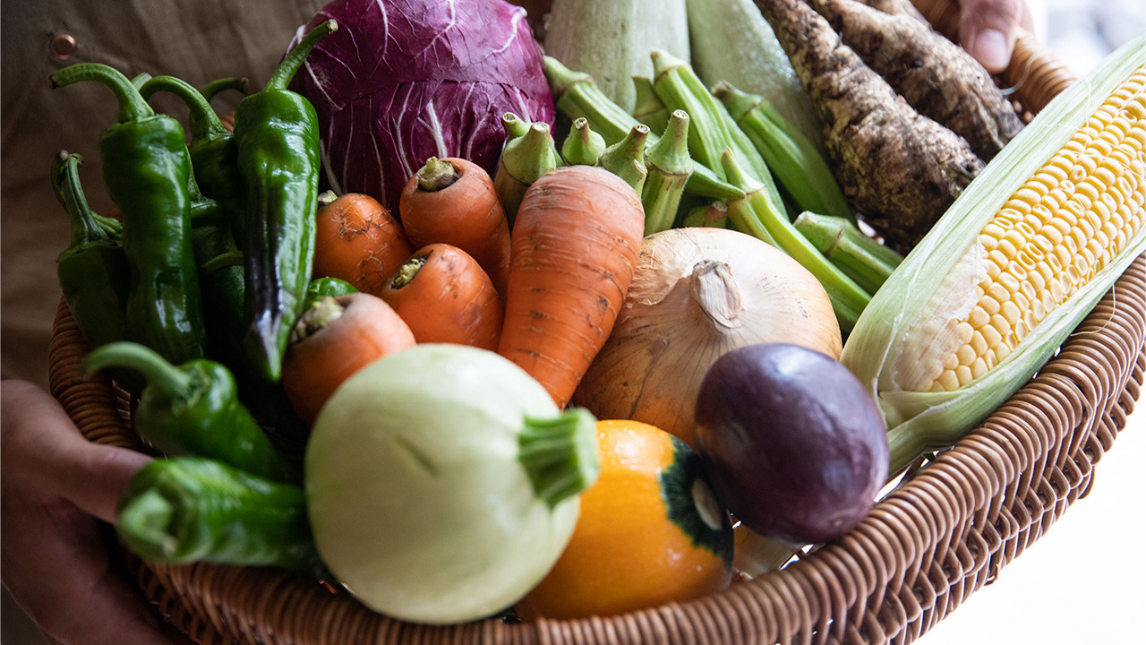 anuの事業内容の写真1枚目