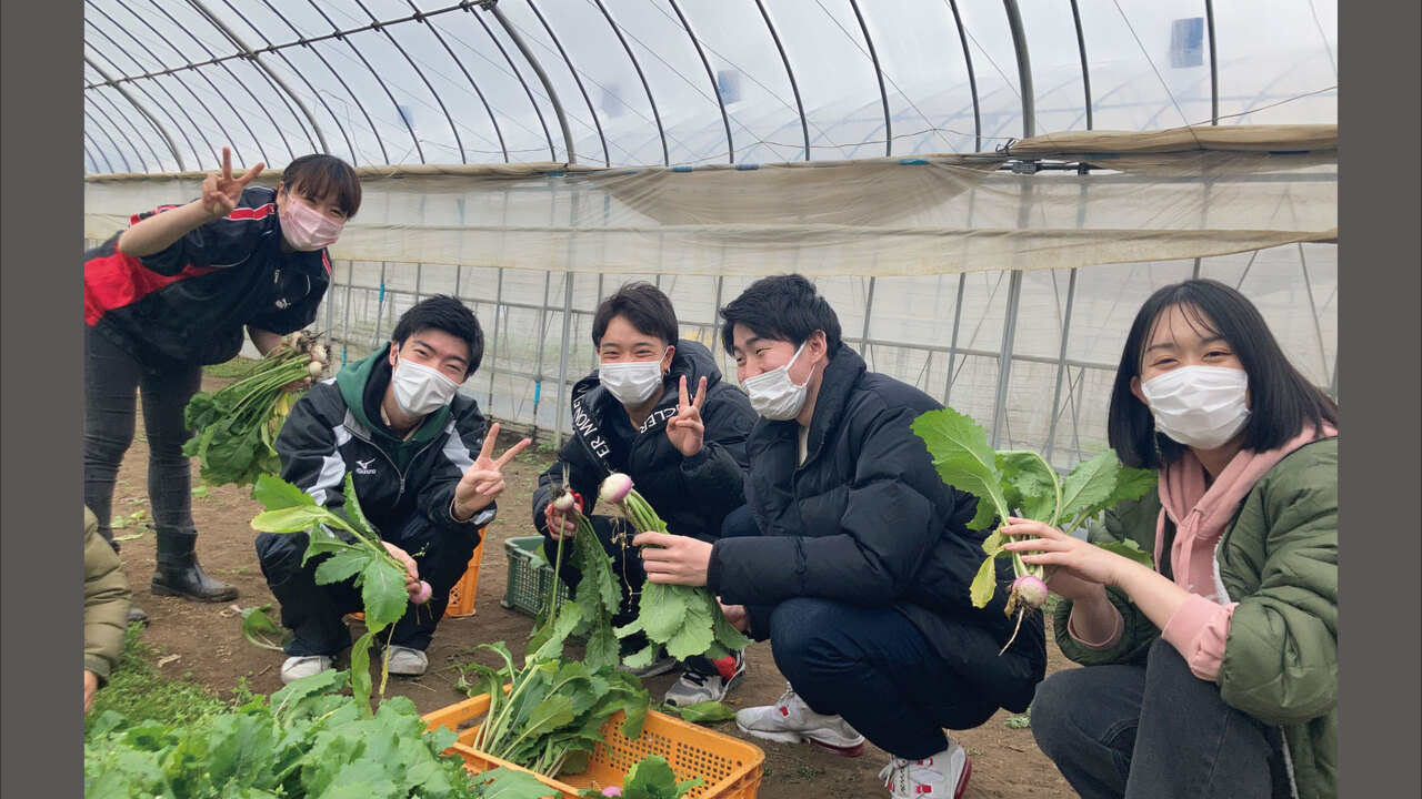 KNOCK CUCINA BUONA ITALIANAの事業内容の写真4枚目