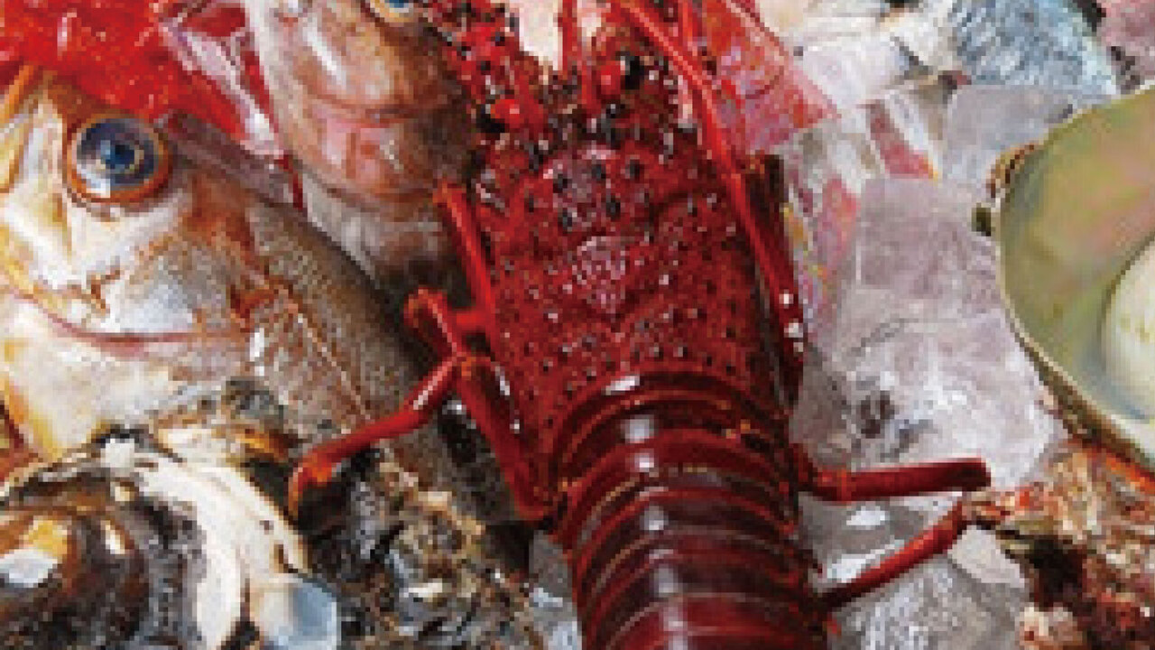 日本料理　ざぜんの事業内容の写真1枚目