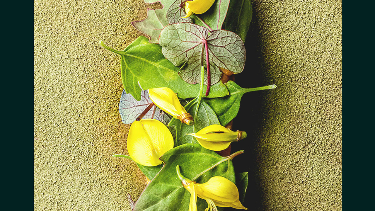 MAZの事業内容の写真2枚目