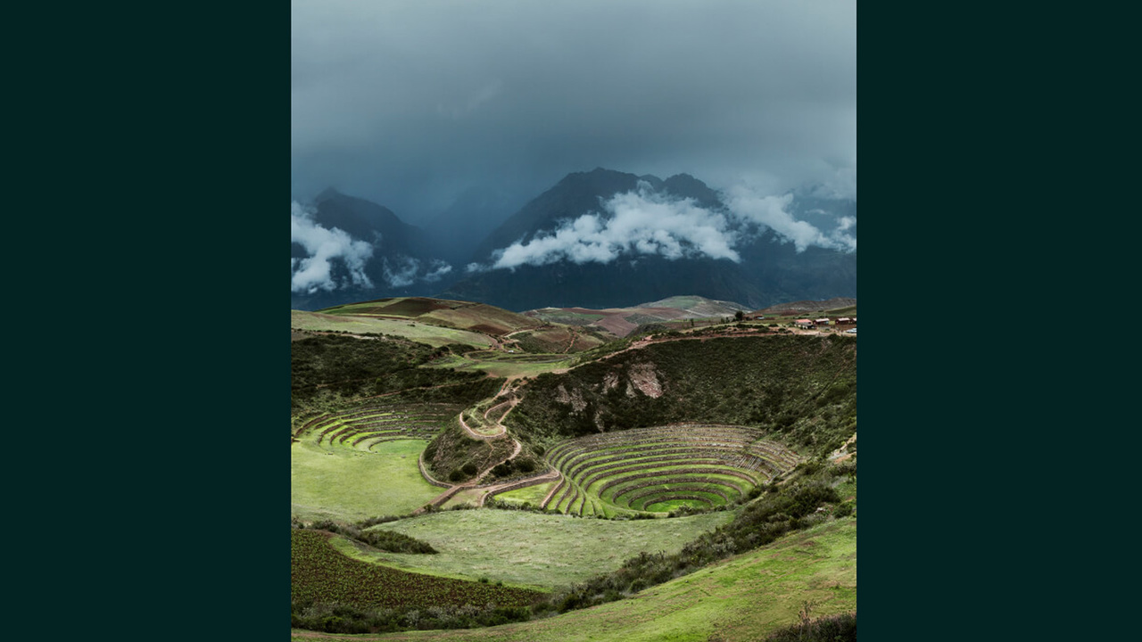 MAZの事業内容の写真3枚目