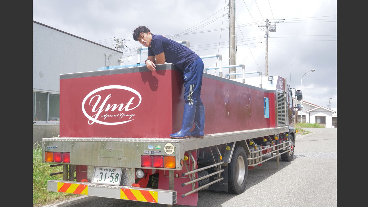 イカセンターのこだわりポイントの写真1枚目