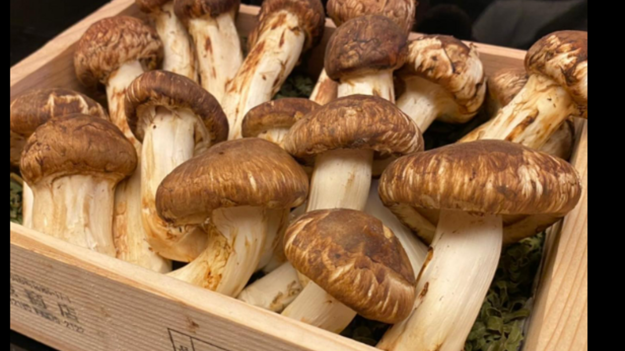 株式会社未来のこだわりポイントの写真1枚目