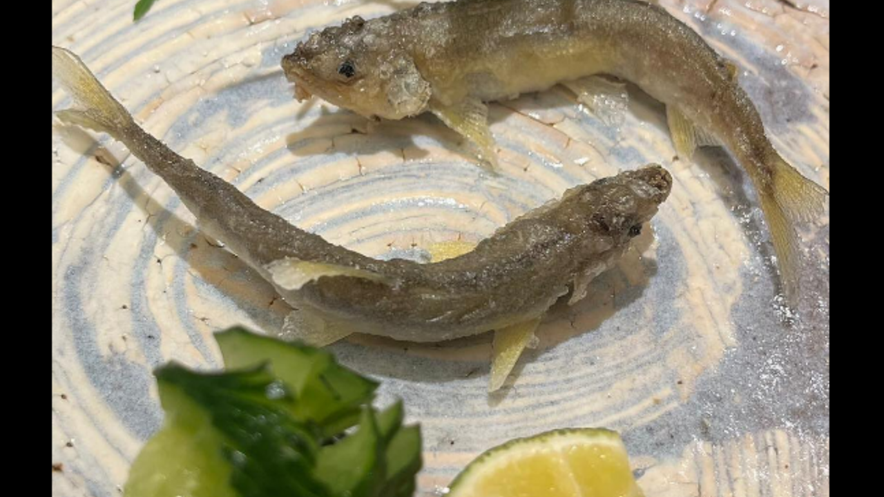 株式会社未来で働く人の写真2枚目