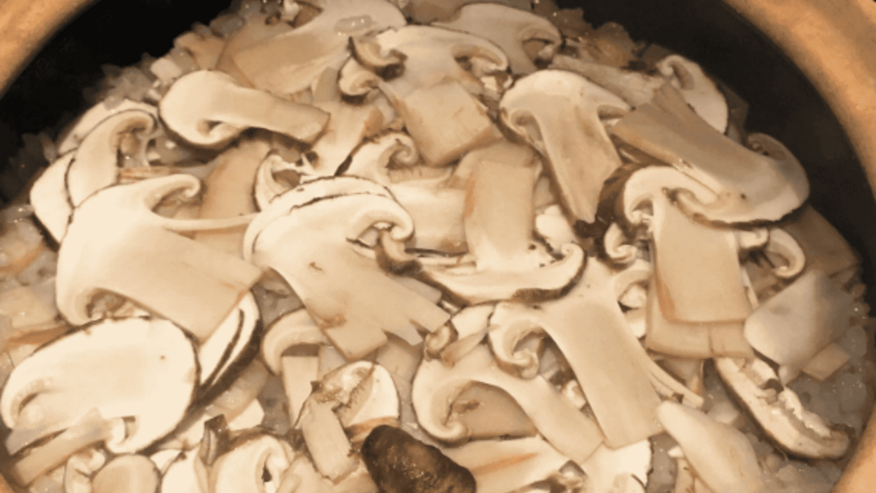 株式会社未来の事業内容の写真2枚目