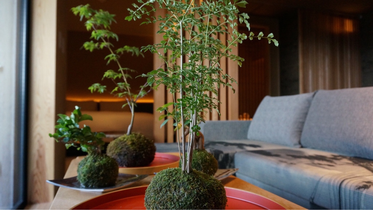 Luxe Estate株式会社で働く人の写真2枚目