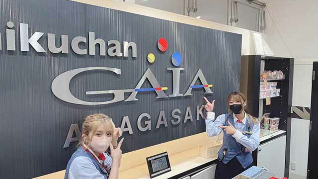 株式会社タツミコーポレーションの事業内容の写真2枚目