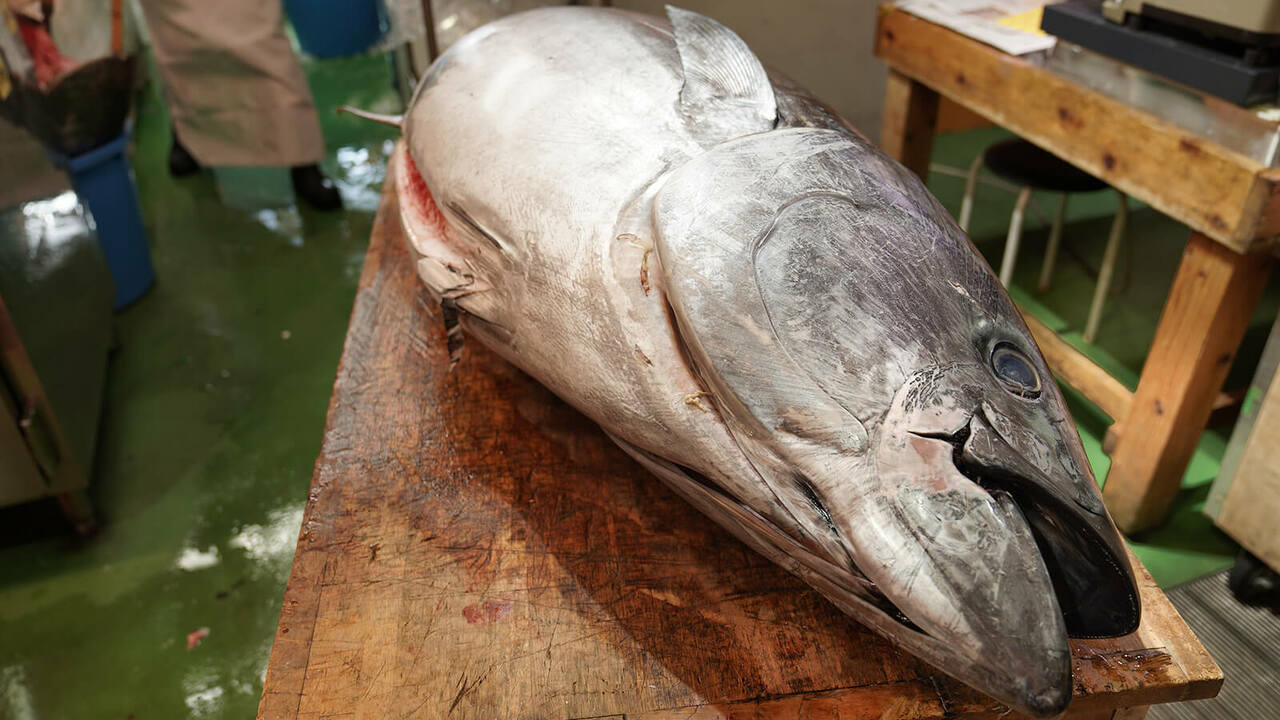 M&L株式会社の会社TOPの写真3枚目