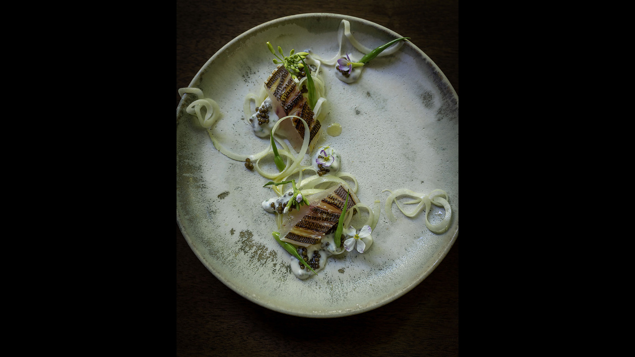 株式会社Dressの事業内容の写真4枚目