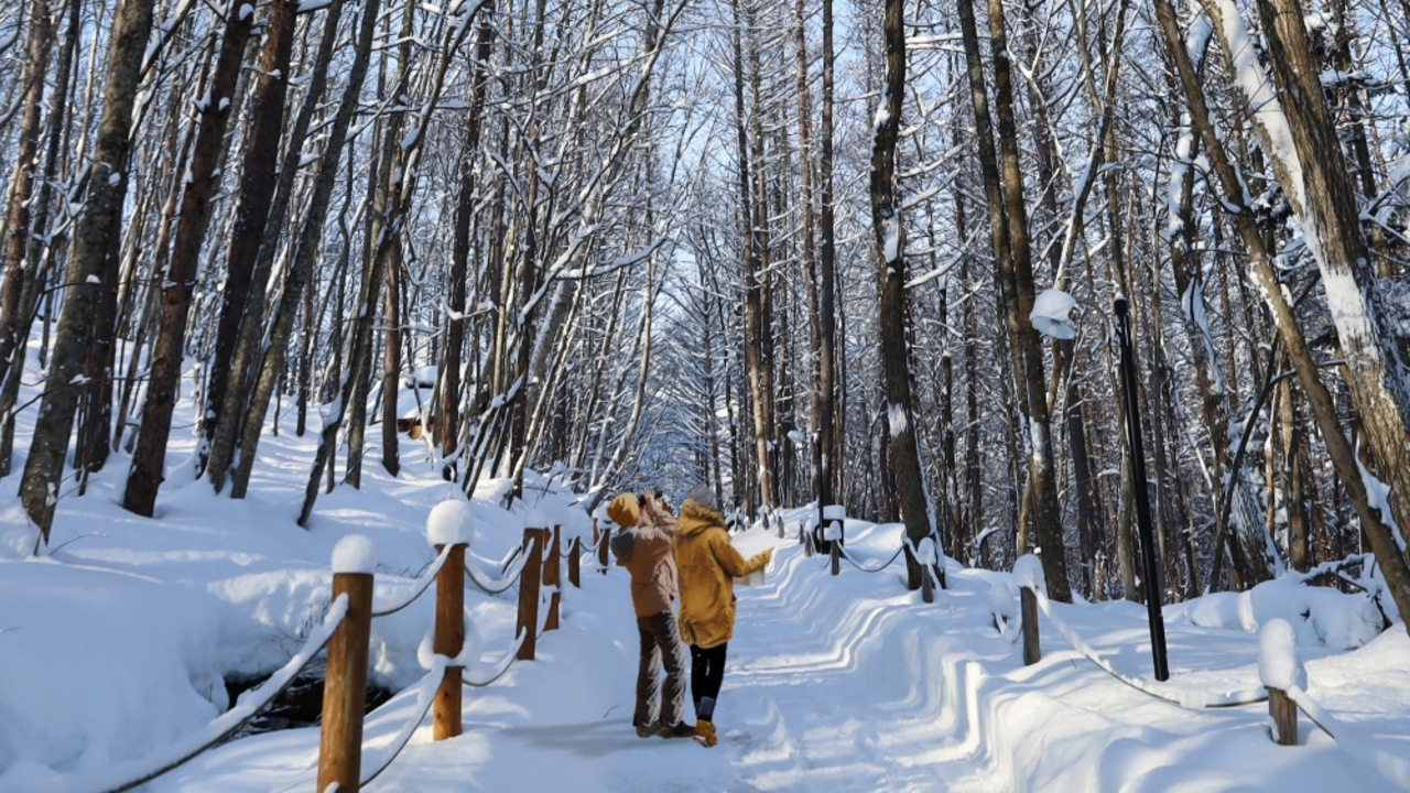 株式会社西武・プリンスホテルズワールドワイドの会社TOPの写真2枚目