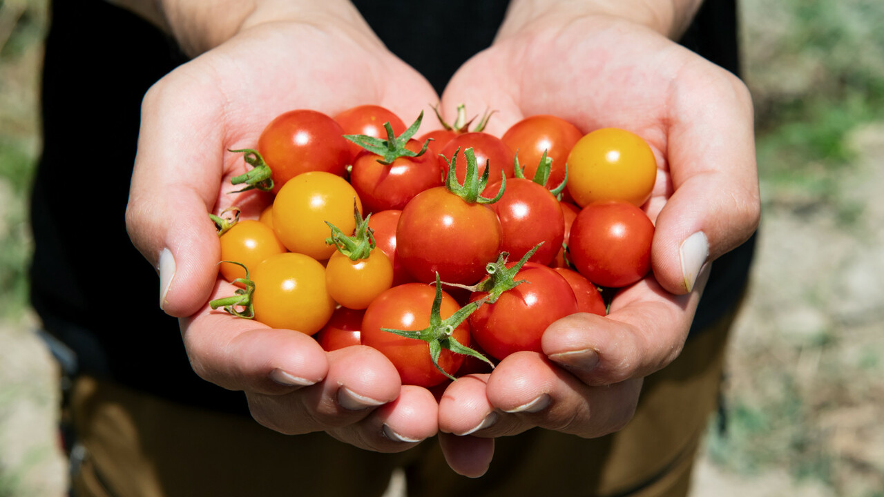 株式会社Qvouのこだわりポイントの写真1枚目