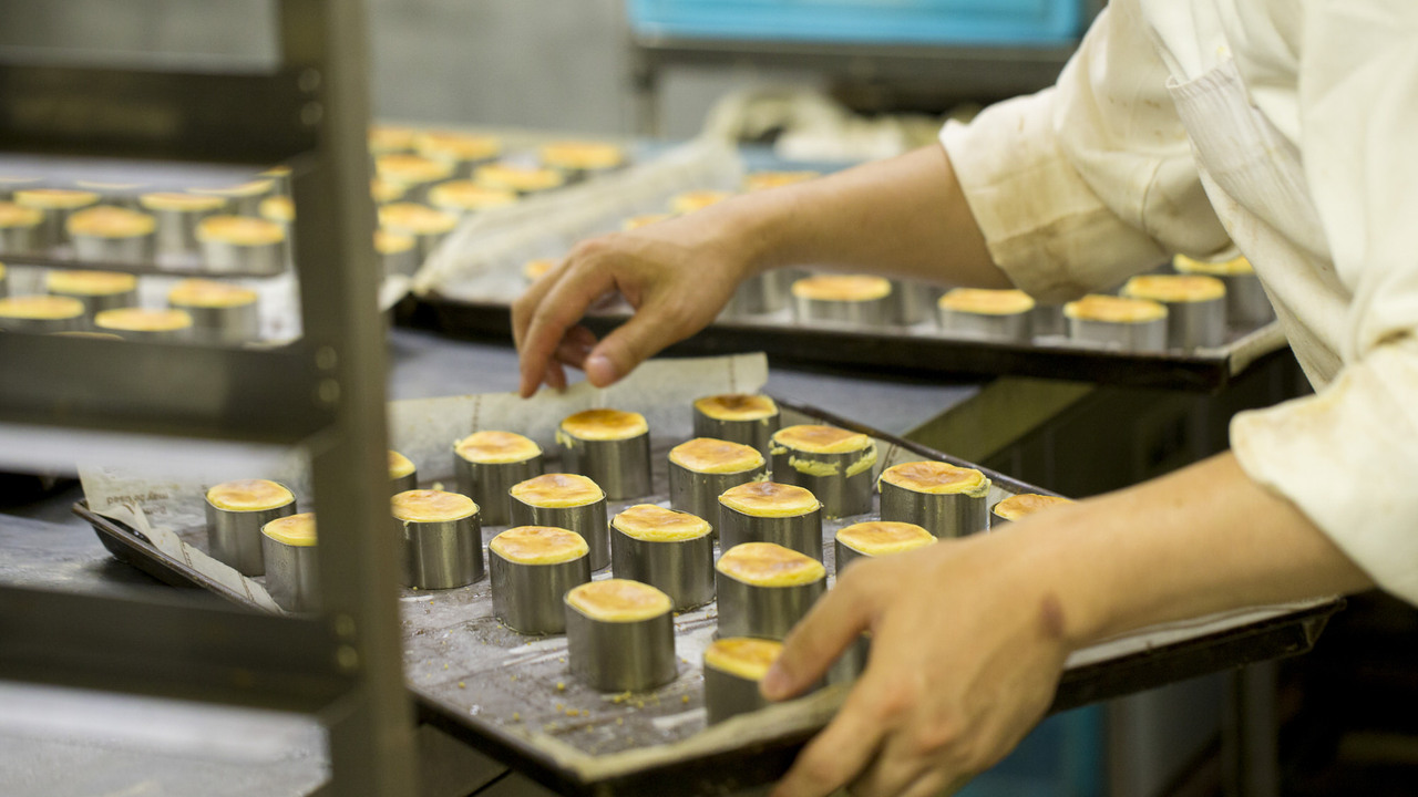 株式会社マヌカンピスの事業内容の写真3枚目