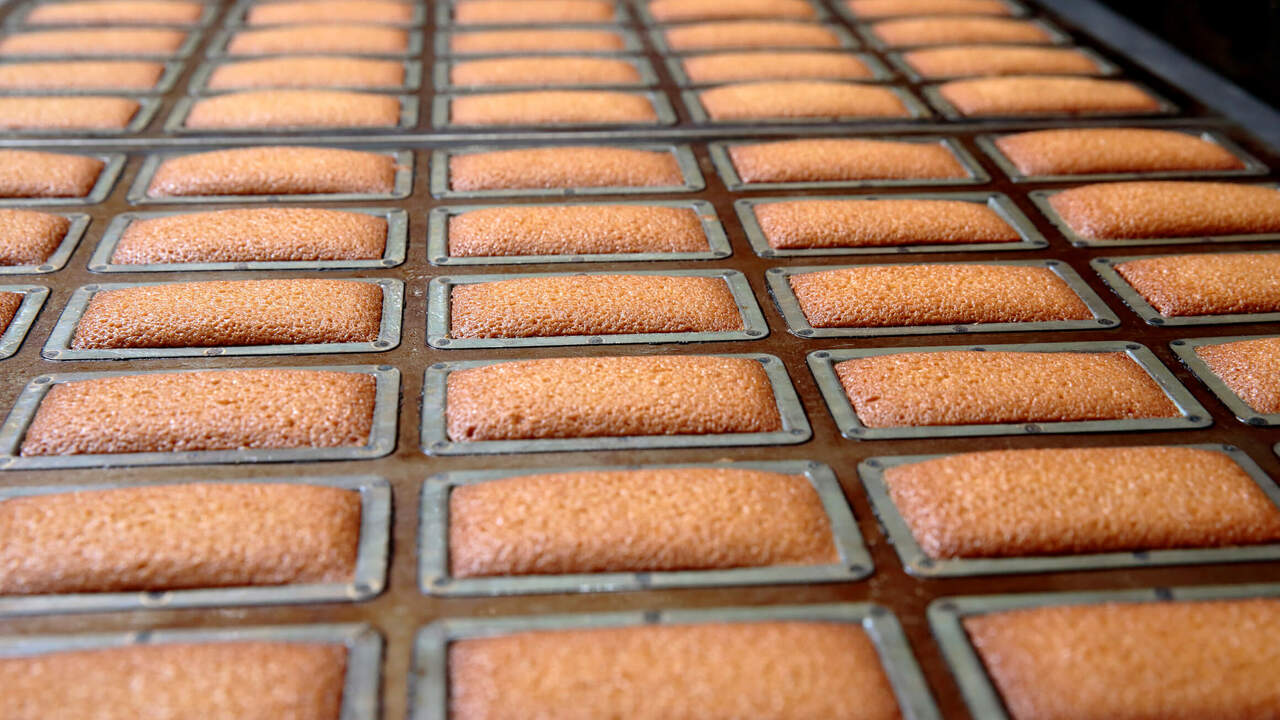 株式会社トリコロールの会社TOPの写真2枚目