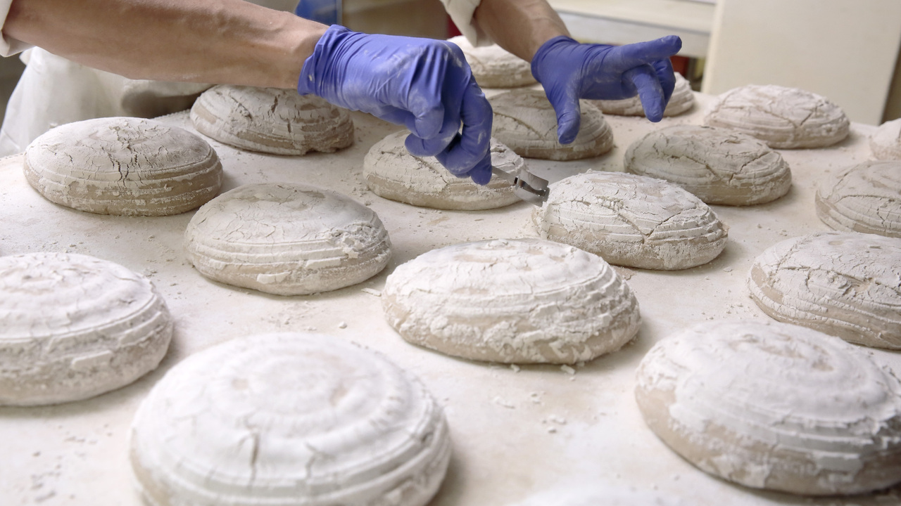 株式会社トリコロールで働く人の写真3枚目