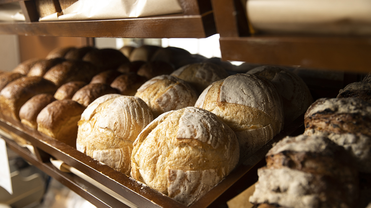 株式会社トリコロールの事業内容の写真1枚目