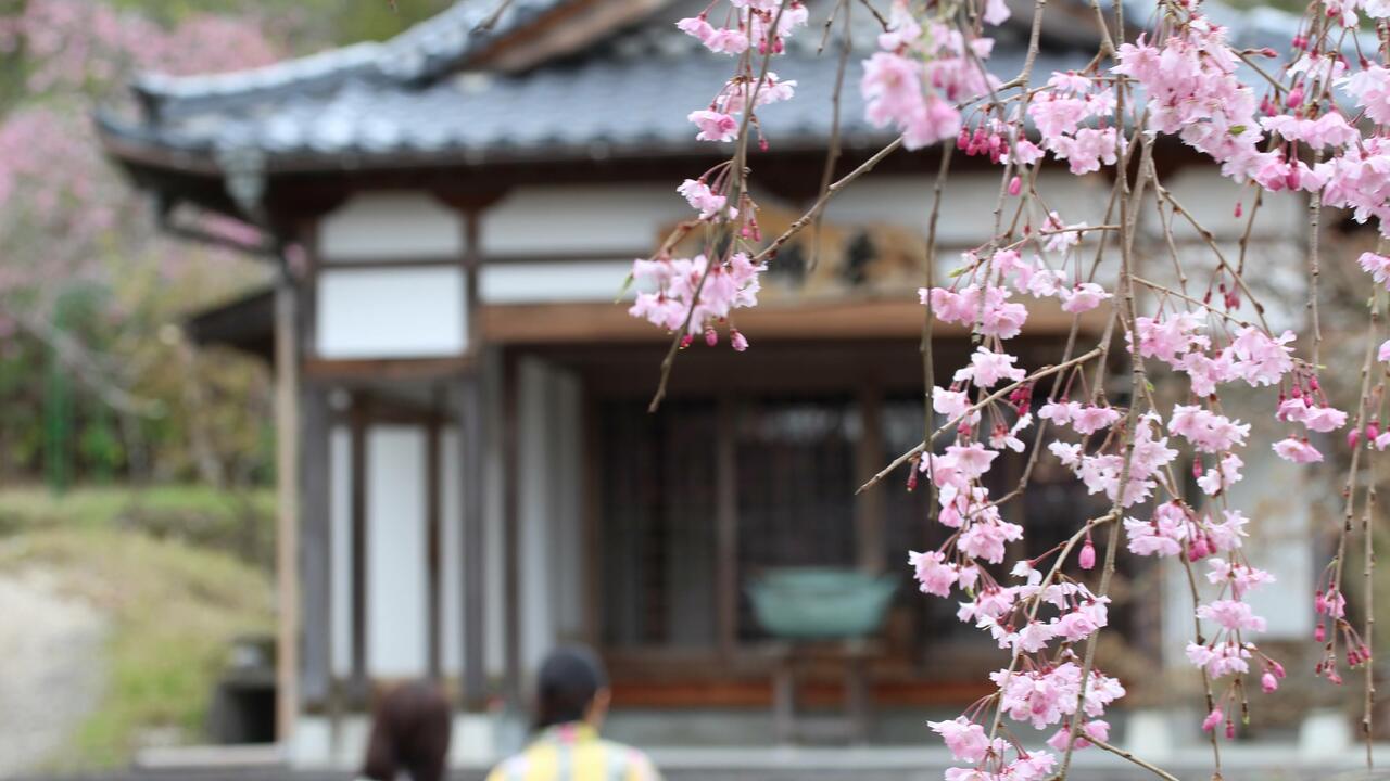 有限会社山神温泉湯乃元館の事業内容の写真1枚目