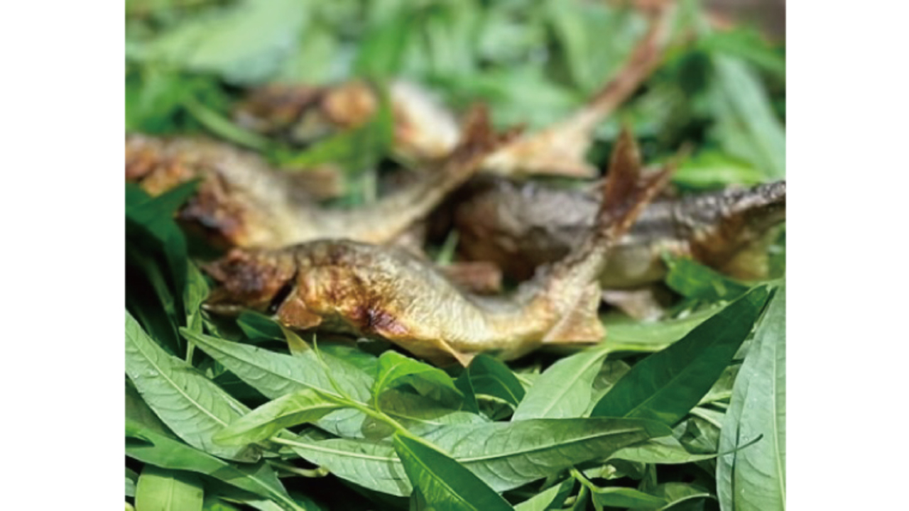 株式会社MIT Corporate Advisory Servicesのこだわりポイントの写真1枚目